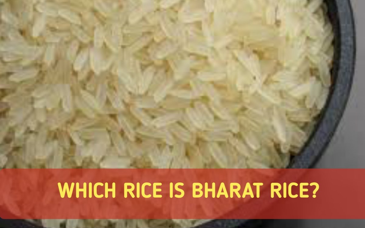 https://bharatrice.org/which-rice-is-bharat-rice/