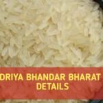 https://bharatrice.org/kendriya-bhandar-bharat-rice-details/