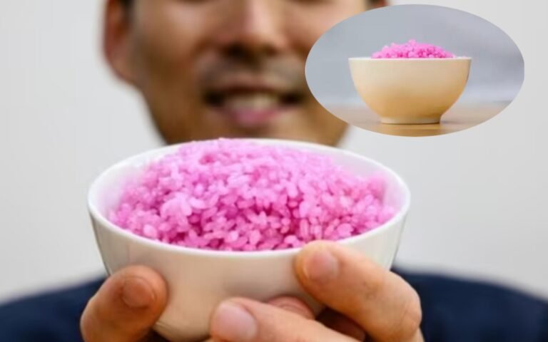 https://bharatrice.org/meat-in-your-rice-introducing-meaty-rice-the-future-of-protein/