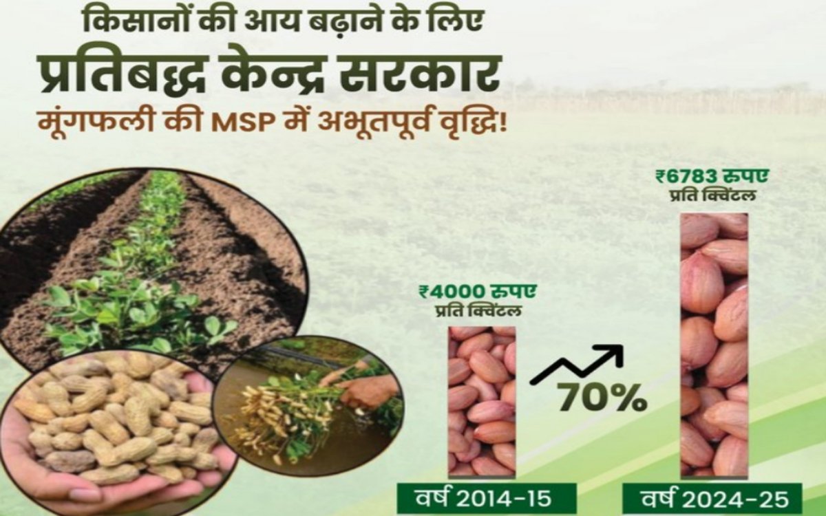 https://bharatrice.org/msp-for-peanuts-gets-a-big-boost-good-news-for-indian-farmers/
