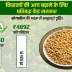 https://bharatrice.org/msp-for-soybeans-skyrockets-by-91-big-boost-for-indian-farmers/