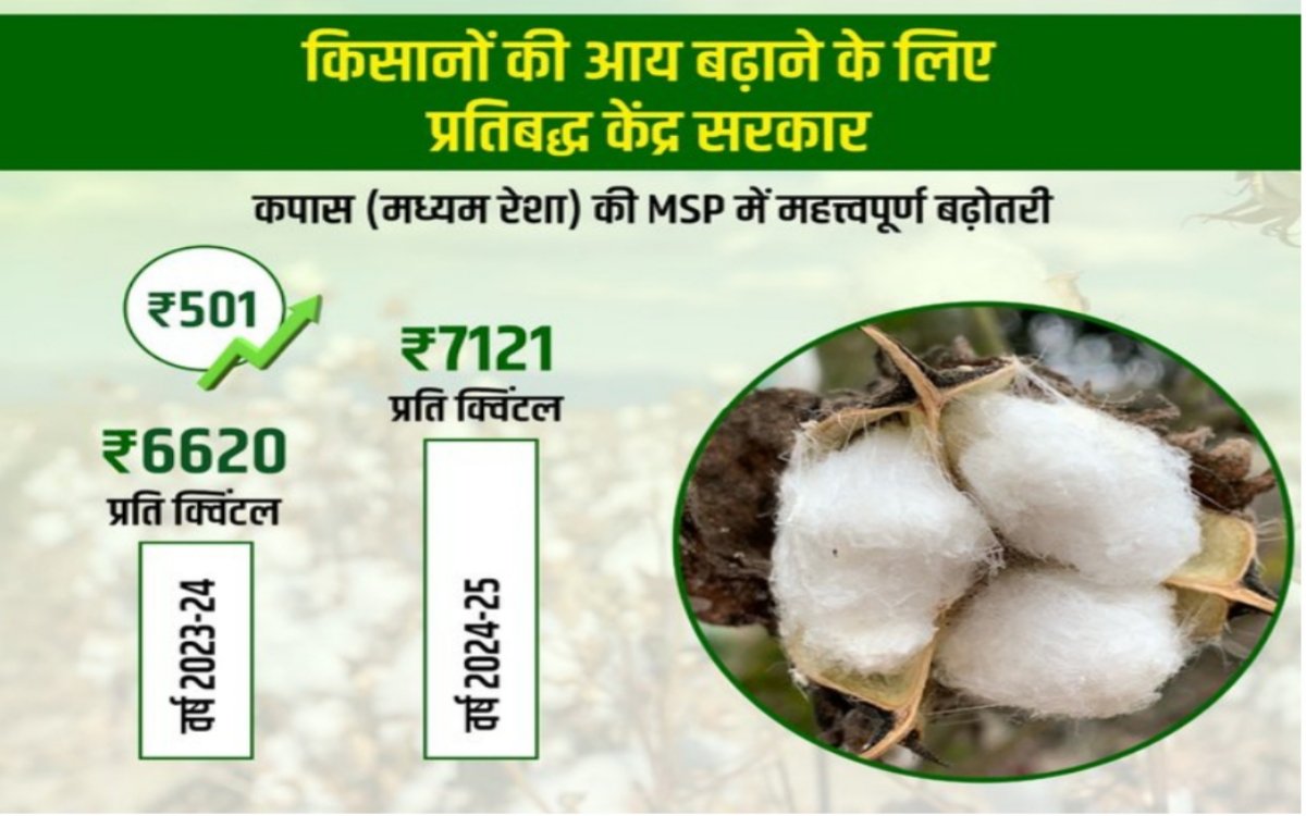 https://bharatrice.org/good-news-for-cotton-farmers-msp-increased-by-%e2%82%b9501-in-2024-25/