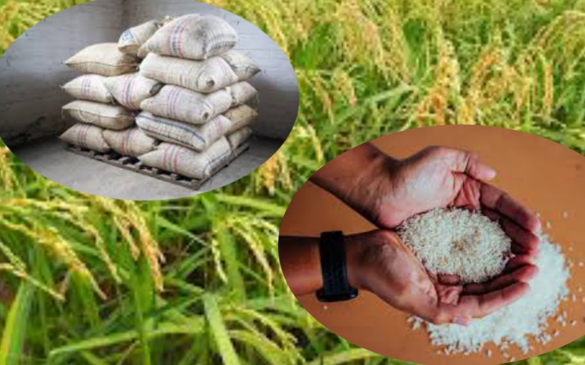 https://bharatrice.org/helping-hands-indian-govt-sends-rice-to-malawi-and-zimbabwe/
